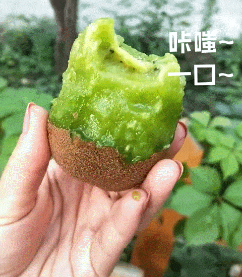 走起！這樣的采摘游玩樂(lè)趣千萬(wàn)別錯(cuò)過(guò)——獼猴桃采摘基地合集
