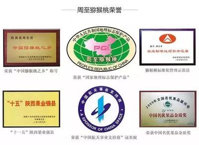 周至獼猴桃盼銷路 萬(wàn)千兒女的呼喚，您的援手見(jiàn)真情