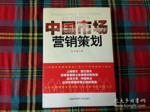 中國市場營銷策劃 洞察、策略與本土化執(zhí)行